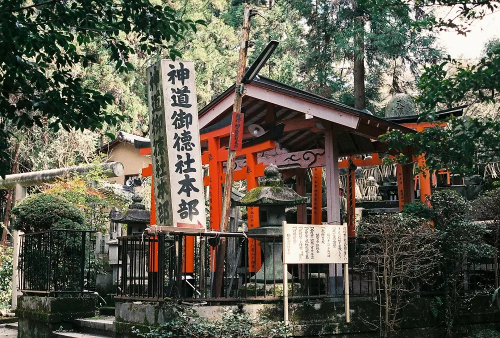 Unveiling Japan: My Ultimate Guide to Must-Visit Destinations