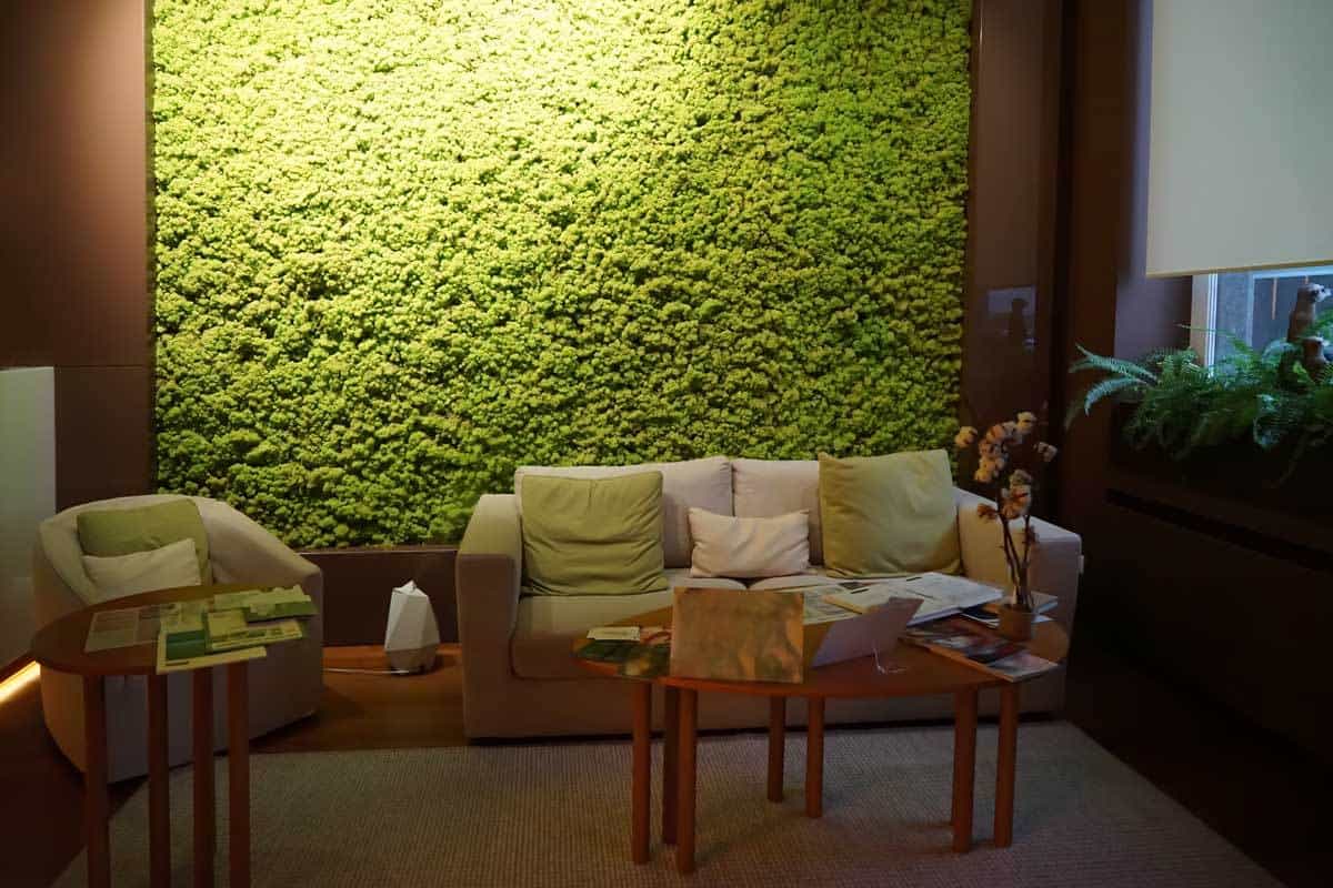 preserved moss wall in dubai